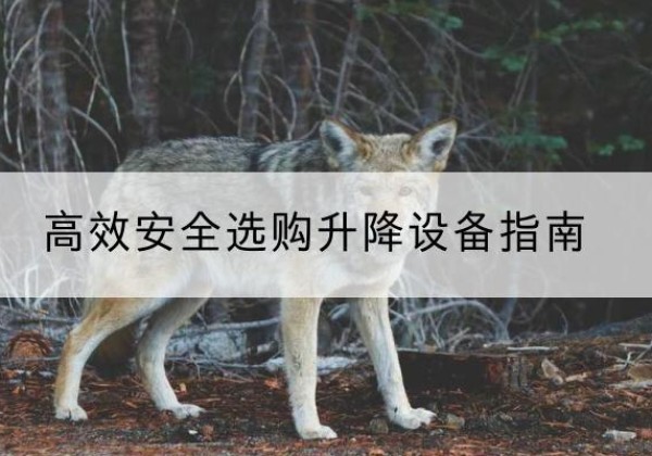 中原升降货梯厂家推荐-*安全选购升降设备指南