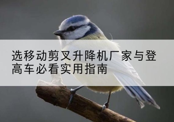 中原电动升降机厂家-选移动剪叉升降机厂家与登高车必看实用指南