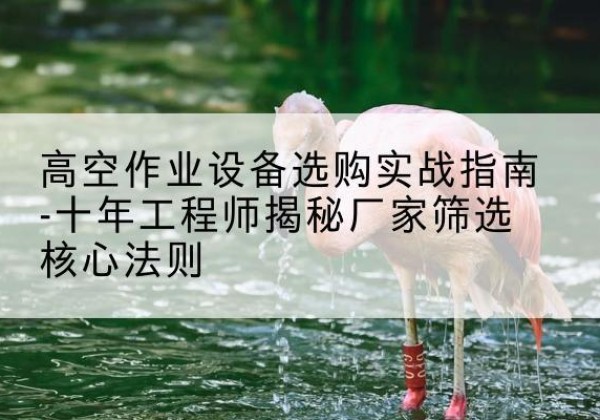 中原剪叉式升降机厂家-高空作业设备选购实战指南-十年工程师揭秘厂家筛选核心法则